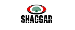 Shaggar City
